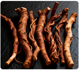Sarsaparilla Root
